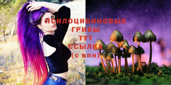 соль ск Магас