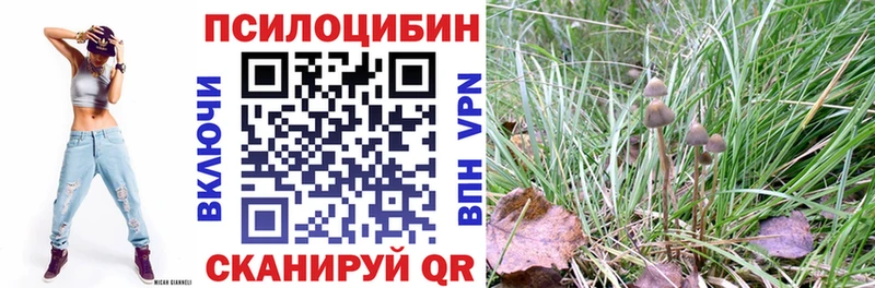 даркнет сайт  Староминская  Галлюциногенные грибы MAGIC MUSHROOMS 