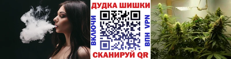 Шишки марихуана планчик  мега зеркало  Староминская  купить наркоту 